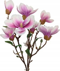 Magnólia csokor gumírozott fehér-lila (sp)