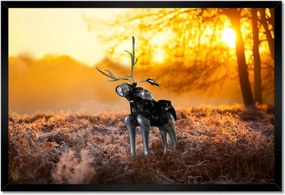 Poszterek keretben 60x40 Chopper az erdőn