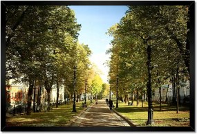 Poszterek keretben 60x40 Park a nyári időszakban