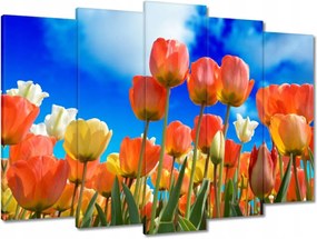 Vászonkép 70x50 Színes tulipánok