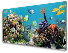 Üvegkép Barrier Reef Nature 100x50 cm 2 fogas