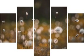 Kép - Gyapotfűvel borított rét N⁰2 (150x105 cm)