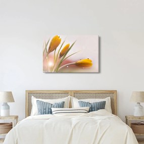 Kép - Tavaszi virágok (90x60 cm)