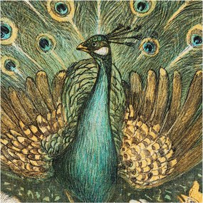 Fotótapéta Flizelin Fal a Hálószobába Fenséges páva 250x250 Ragasztó
