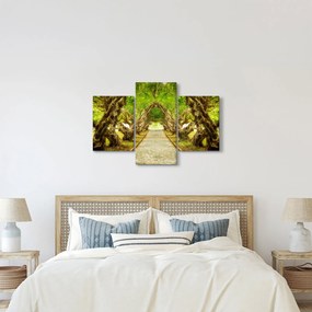 Kép - Plumeria élő alagútja (90x60 cm)