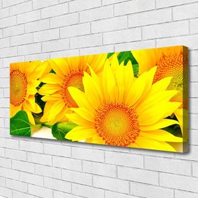 Vászonfotó Napraforgó virág természet 120x60 cm