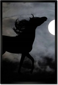 Poszterek keretben 40x60 Éjszakai paripa