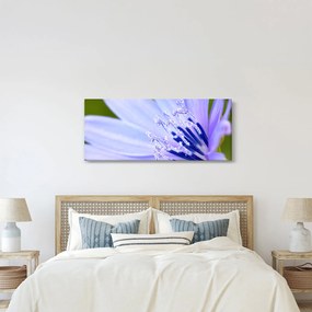 Kép - Virág (120x50 cm)