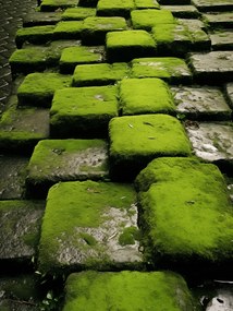 Poszter 30x40cm Zöld Mozaik