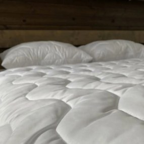 Antiallergén paplan Aloe Vera LUXUS mikroszálas szövet 140x200cm TiaHome
