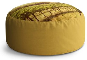 Circle zsámoly szőlőültetvény, sárga