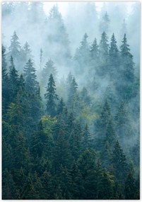 Poszterek 70x100 Erdő a ködben Utazás