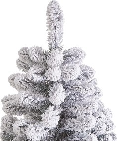 TREE OF THE MONTH fenyőfa, havas 210cm