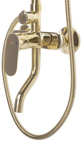 Zuhanyszett REA SALTON GOLD
