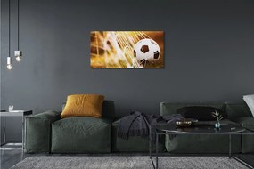 Canvas képek A labda sárga fű háttér 125x50 cm
