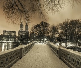 Poszter 60x50cm Central Park Bow Bridge Manhattan panorámával, Assaf Frank