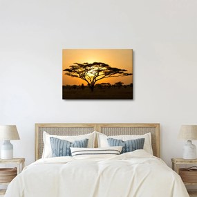 Kép - afrikai szavanna (70x50 cm)