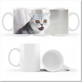 Cica fényképes bögre Cica