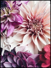 Botanika virágos poszter színes virágok kép a lakásba 30x40cm A3