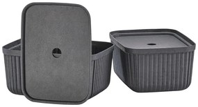 Tárolókosár szett 2 db-os 32x23x20.5 cm Pulp – Zone