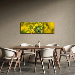 Napraforgó képe (órával) (90x30 cm)