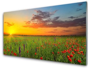 Fali üvegkép Sun mezei virágok Természet 100x50 cm