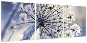 Kép - Fagyott virág (órával) (90x30 cm)