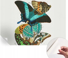 Modern öntapadós fali fotótapéta Színes pillangók 152x104 cm