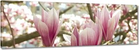 Festmények 120x40 Magnólia
