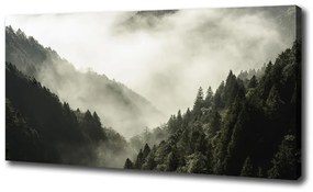 Vászon nyomtatás Köd az erdőben oc-98626353