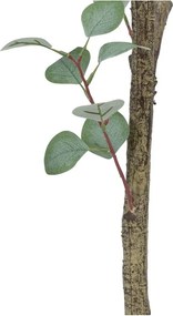Eukaliptusz műnövény (magasság 180 cm) Eucalyptus – Ixia