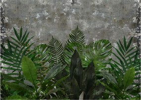 Kép - Betonfal növényekkel (70x50 cm)