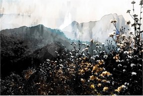 Kép - Vadvirágok illusztrációja (90x60 cm)