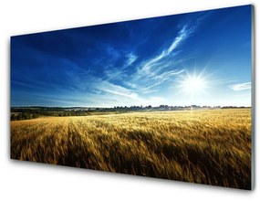 Fali üvegkép Búza Mező nap táj 100x50 cm