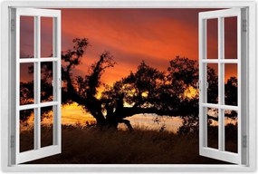 Poszterek 90x60 Afrikai tájkép