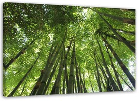 Gario Vászonkép Bambuszok teteje Méret: 60 x 40 cm
