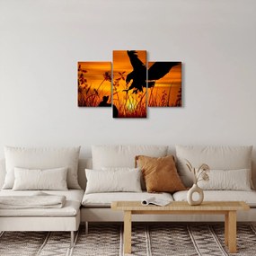 A ragadozó sziluettjének képe (90x60 cm)