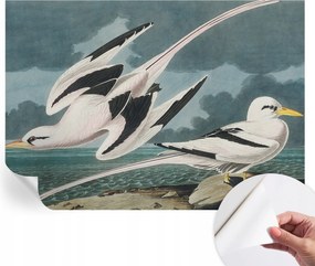 Divatos öntapadós fali tapéta Madarak a tengerparton 312x219 cm