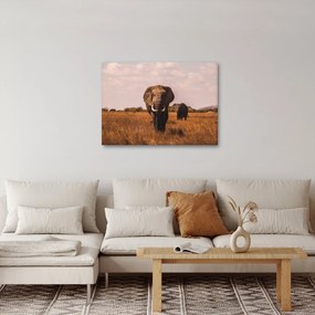 Kép - Az elefánt érkezése (70x50 cm)