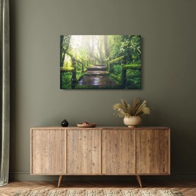 Kép - falépcsők az erdőben (90x60 cm)