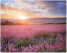 Poszterek 50x40 Csodálatos naplemente