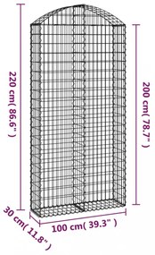 íves horganyzott vas gabion kosár 100x30x200/220 cm
