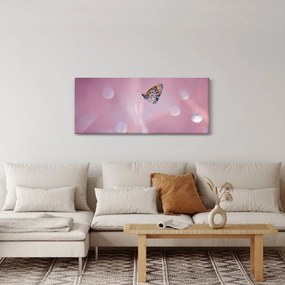 Kép - Pillangó (120x50 cm)