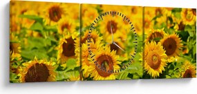 Kép - Napraforgók (órával) (90x30 cm)