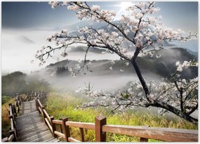 Poszterek 70x50 Japán Virágzó cseresznye