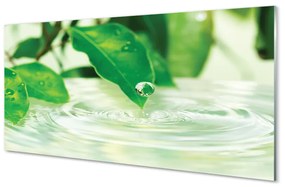 Üvegképek Csepp levelek víz 100x50 cm