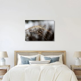 Cseppkép egy növényen (üvegen) (70x50 cm)