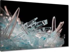 Festmények 120x80 Makrofotó MacroFoto