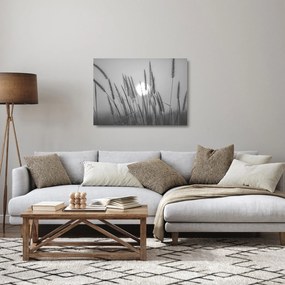 Üveg kép - Mező naplementében (70x50 cm)