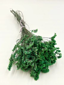 Limonium Zöld stabilizált, stabilizált virágok, virágok vázába